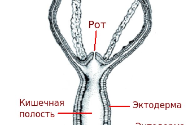 Сайты продаж наркотиков