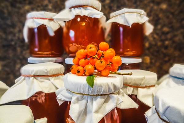Проверенная ссылка кракен