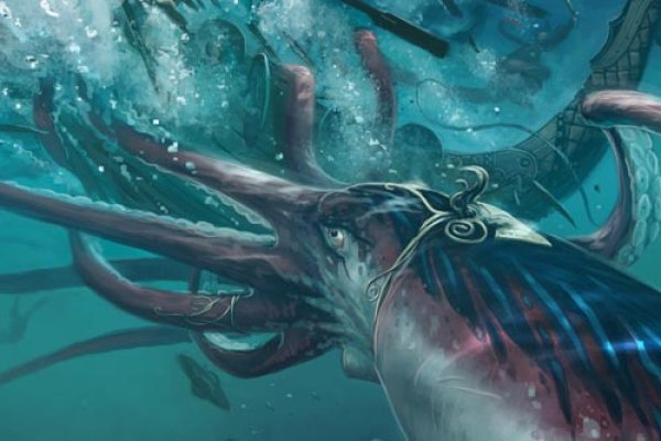 Kraken 17 at