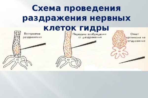 Регистрация на кракен