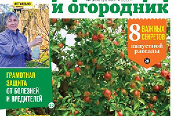 Кракен как зайти