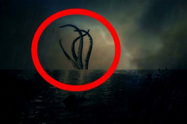 Kraken kraken dark link