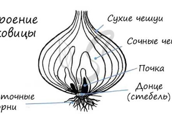 Кракен стор