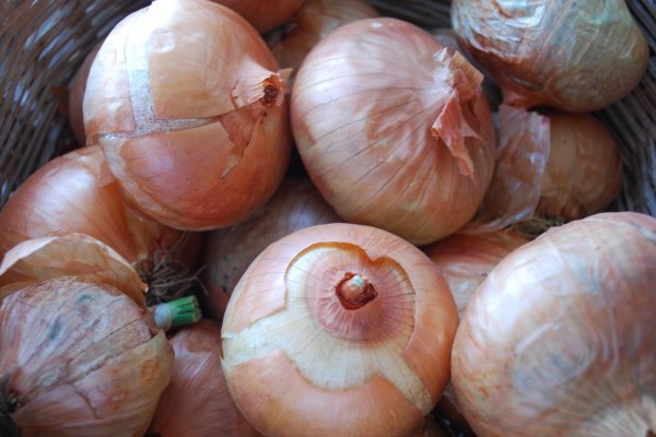 Рабочие ссылки и зеркала кракен