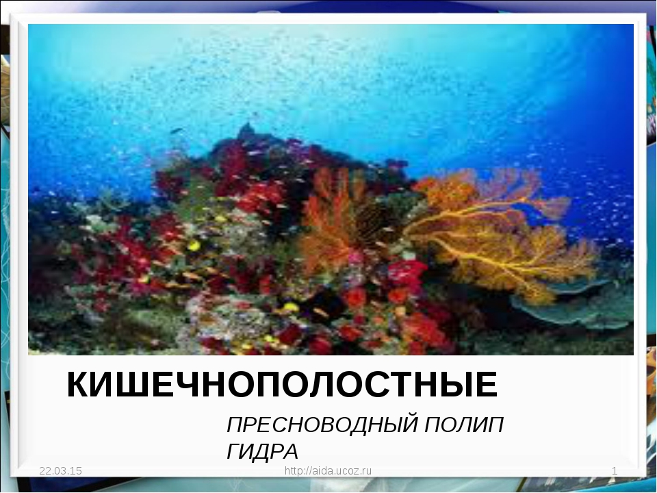 Актуальные ссылки на кракен тор